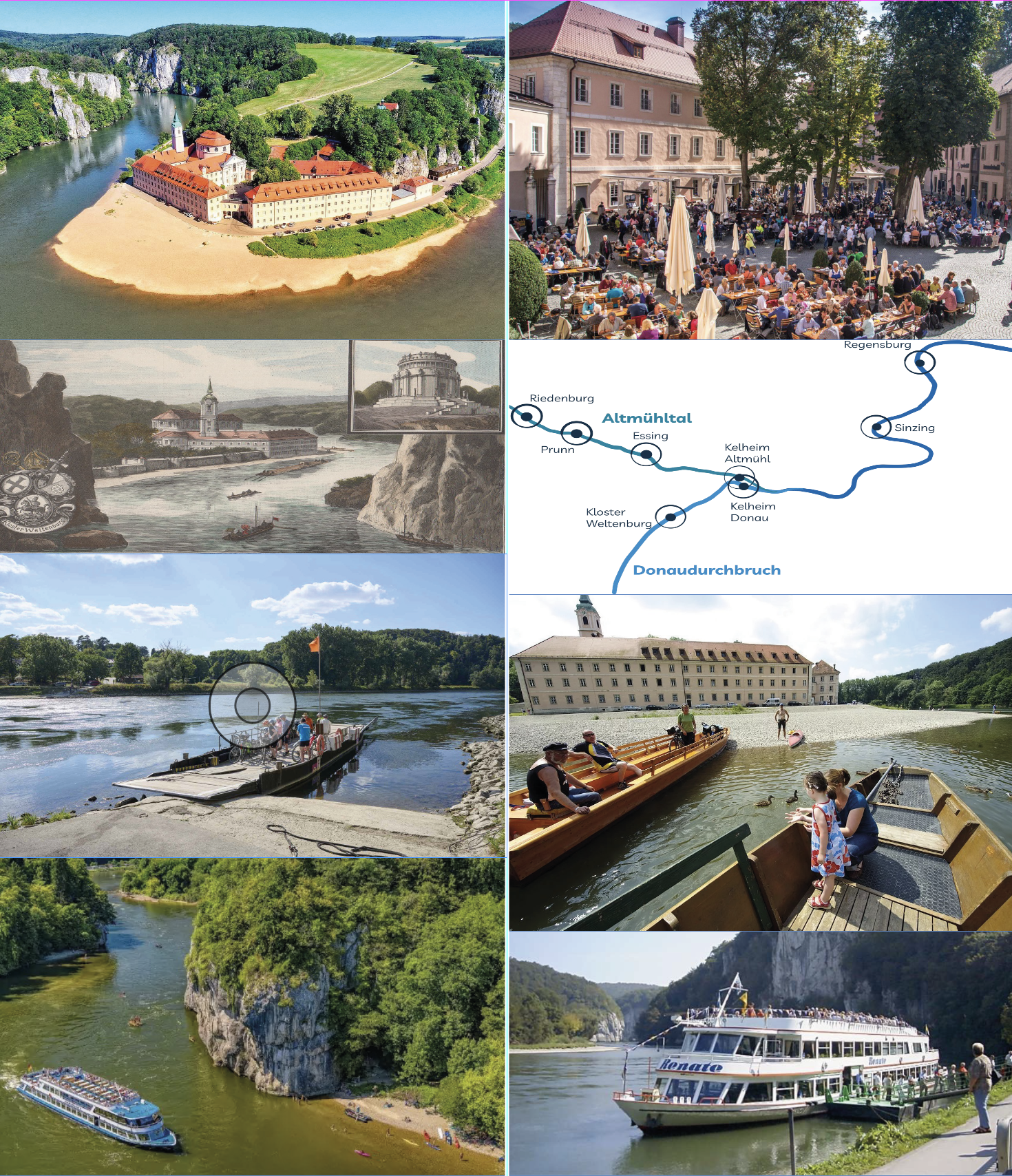 Een collega van veren over de Donau